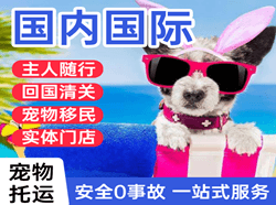 北京大兴空运公司国际宠物托运 【国